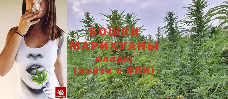 Бошки марихуана Ganja  Армянск 